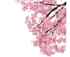 ксюння
